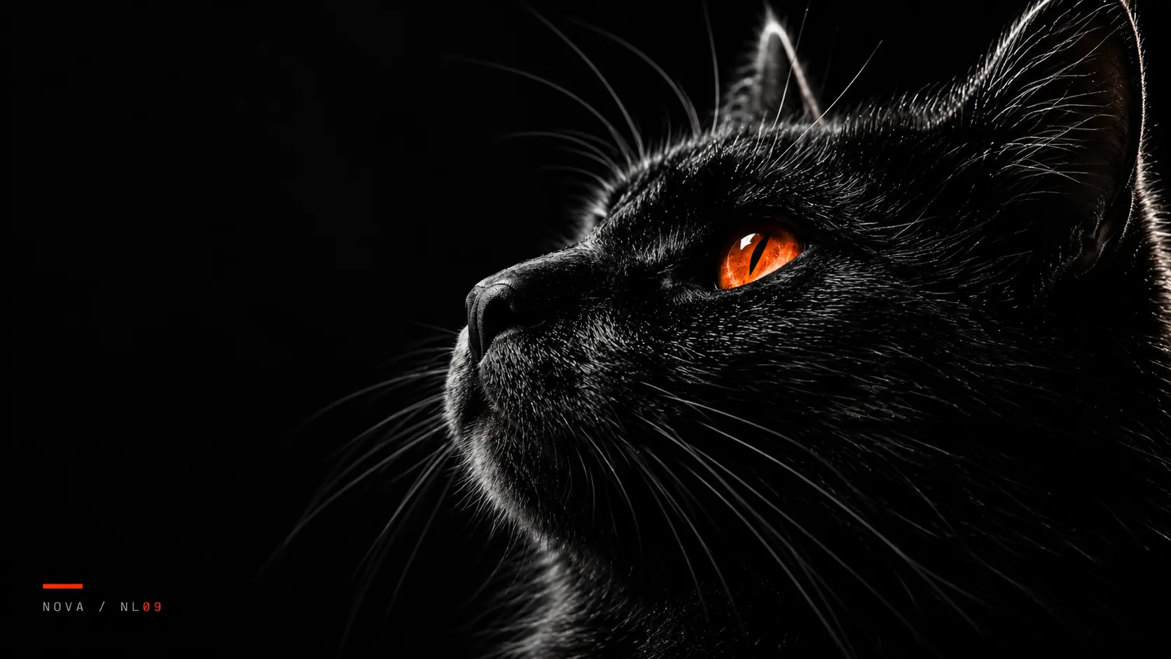 Noir digital side portrait of Nova looking into darkness